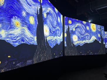 ゴッホ・アライブに投稿された画像（2024/2/18）