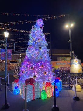 さがみ湖MORI MORIに投稿された画像（2024/2/18）