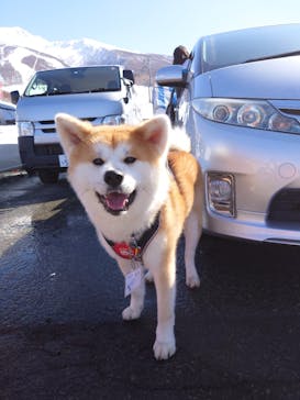 たざわ湖スキー場に投稿された画像（2024/2/18）