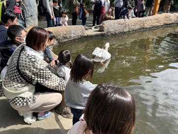 神戸どうぶつ王国に投稿された画像（2024/2/18）