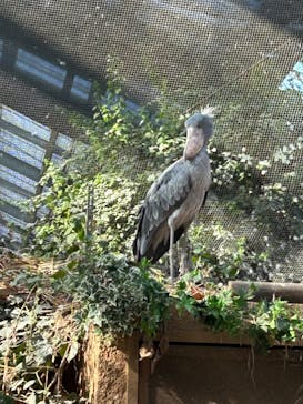 神戸どうぶつ王国に投稿された画像（2024/2/18）