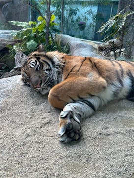 神戸どうぶつ王国に投稿された画像（2024/2/18）