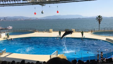 マリンワールド海の中道に投稿された画像（2024/2/18）