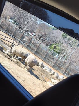 群馬サファリパークに投稿された画像（2024/2/18）