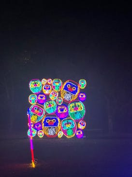 大阪城イルミナージュに投稿された画像（2024/2/18）