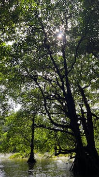 石垣島 ADVENTURE PiPi（イシガキジマアドベンチャーピピ）に投稿された画像（2024/2/18）