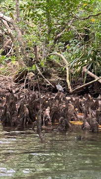 石垣島 ADVENTURE PiPi（イシガキジマアドベンチャーピピ）に投稿された画像（2024/2/18）