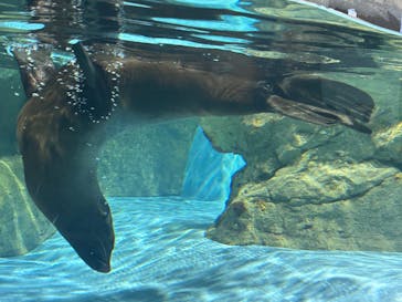 マクセル アクアパーク品川に投稿された画像（2024/2/18）