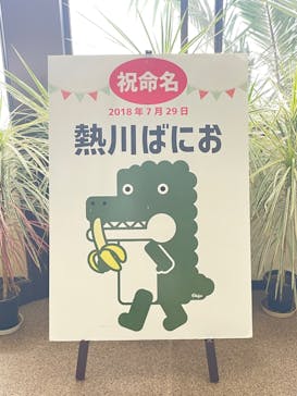 熱川バナナワニ園に投稿された画像（2024/2/18）