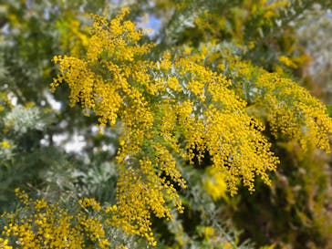 神戸どうぶつ王国に投稿された画像（2024/2/18）