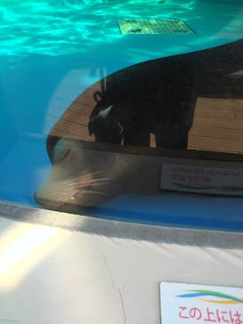 サンシャイン水族館に投稿された画像（2024/2/18）
