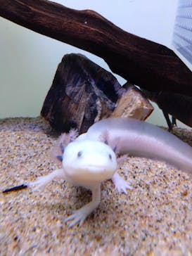 サンシャイン水族館に投稿された画像（2024/2/18）