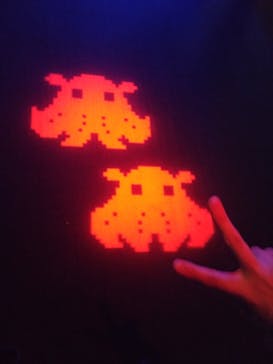 サンシャイン水族館に投稿された画像（2024/2/18）