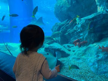 マクセル アクアパーク品川に投稿された画像（2024/2/18）