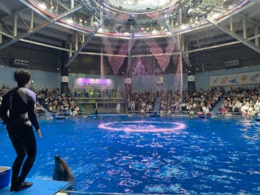 マクセル アクアパーク品川に投稿された画像（2024/2/18）