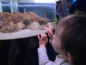 マクセル アクアパーク品川に投稿された画像（2024/2/18）