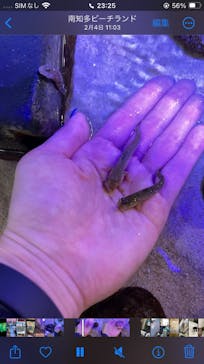 南知多ビーチランド＆南知多おもちゃ王国に投稿された画像（2024/2/18）