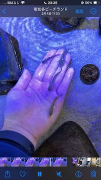 南知多ビーチランド＆南知多おもちゃ王国に投稿された画像（2024/2/18）