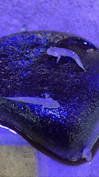 南知多ビーチランド＆南知多おもちゃ王国に投稿された画像（2024/2/18）