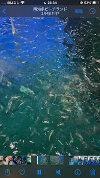 南知多ビーチランド＆南知多おもちゃ王国に投稿された画像（2024/2/18）