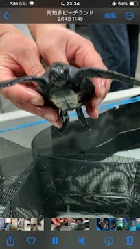 南知多ビーチランド＆南知多おもちゃ王国に投稿された画像（2024/2/18）