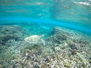 宮古島マリン GB QUESTに投稿された画像（2024/2/18）