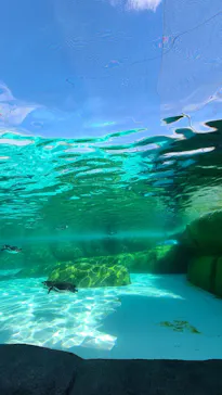 天王寺動物園に投稿された画像（2024/2/18）