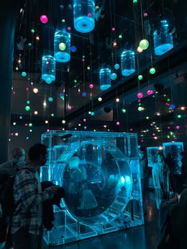 マクセル アクアパーク品川に投稿された画像（2024/2/18）