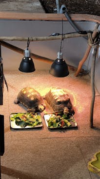 カワスイ 川崎⽔族館に投稿された画像（2024/2/18）