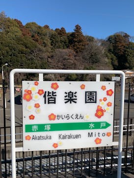 偕楽園本園に投稿された画像（2024/2/18）