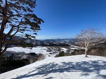 たざわ湖スキー場に投稿された画像（2024/2/19）