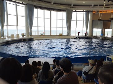 アクアワールド茨城県大洗水族館に投稿された画像（2024/2/19）
