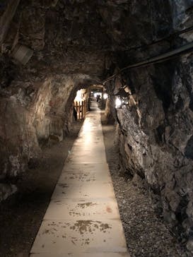 土肥金山に投稿された画像（2024/2/19）