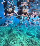 沖縄マリンサービス碧に投稿された画像（2024/2/19）