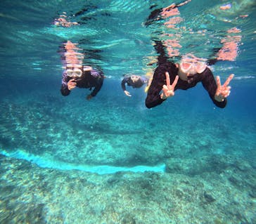 沖縄マリンサービス碧に投稿された画像（2024/2/19）