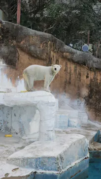 天王寺動物園に投稿された画像（2024/2/19）