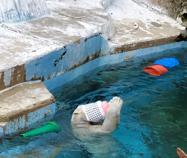 天王寺動物園に投稿された画像（2024/2/19）