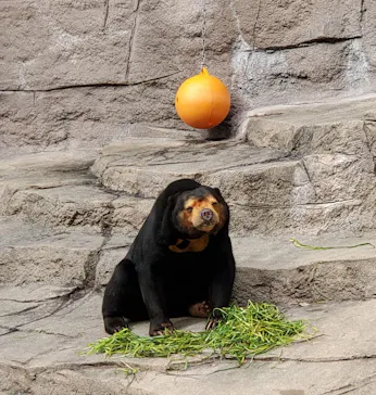 天王寺動物園に投稿された画像（2024/2/19）