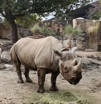 天王寺動物園に投稿された画像（2024/2/19）