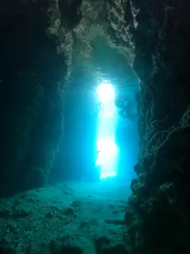 武藤潜水に投稿された画像（2024/2/19）