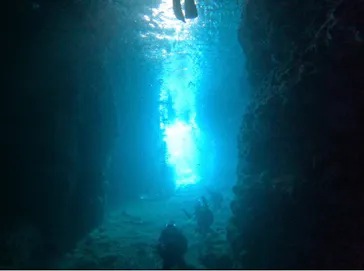 武藤潜水に投稿された画像（2024/2/19）