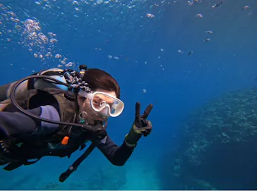 武藤潜水に投稿された画像（2024/2/19）