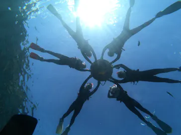 武藤潜水に投稿された画像（2024/2/19）