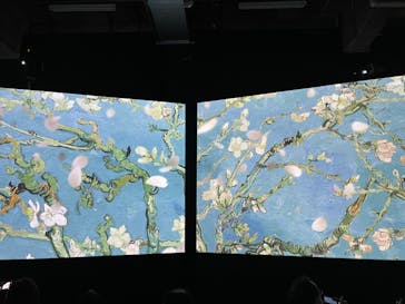 ゴッホ・アライブに投稿された画像（2024/2/19）