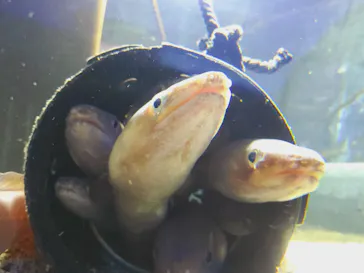 横浜・八景島シーパラダイスに投稿された画像（2024/2/19）