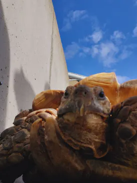 横浜・八景島シーパラダイスに投稿された画像（2024/2/19）