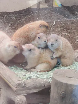 横浜・八景島シーパラダイスに投稿された画像（2024/2/19）