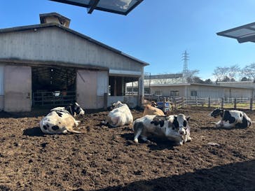 成田ゆめ牧場に投稿された画像（2024/2/19）