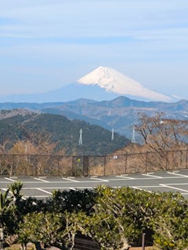 伊豆シャボテン動物公園に投稿された画像（2024/2/19）