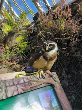 伊豆シャボテン動物公園に投稿された画像（2024/2/19）